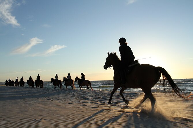 2 hours Horse Riding Excursion near the Beach in Alcúdia bay - Key Points