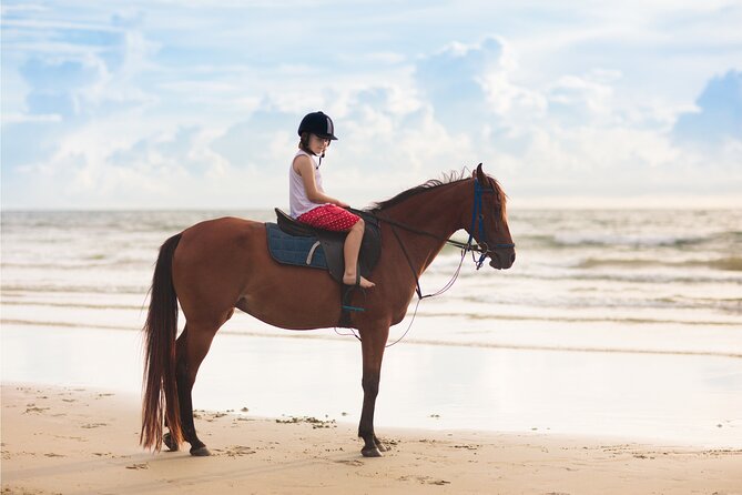 2 hours Horse Riding Excursion near the Beach in Alcúdia bay - Pricing and Booking Details