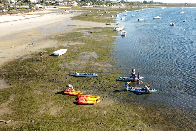 2 Hours Kayak Island Tour in the Natural Park of Ria Formosa - Wildlife and Nature: Birdwatching and Lagoon Ecosystems
