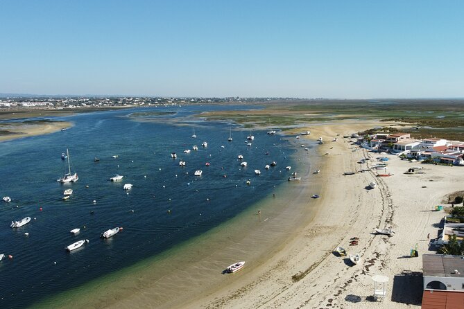 2 Hours Kayak Island Tour in the Natural Park of Ria Formosa - Experience with Guides and Group Sizes
