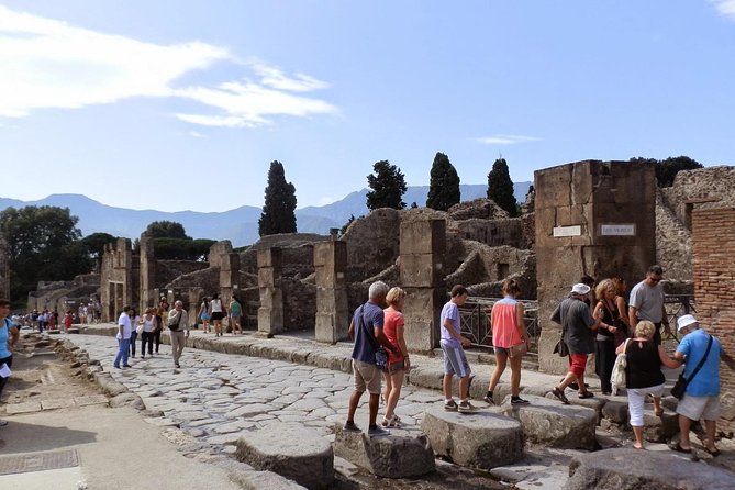 2 hours Pompeii Tour with local historian - ticket included - The Experience of Learning from a Local Historian