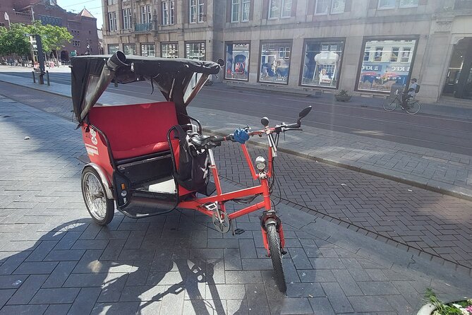 2 Hours Private Amsterdam Rickshaw Tour - Visit the Museumplein and Its Artistic Treasures