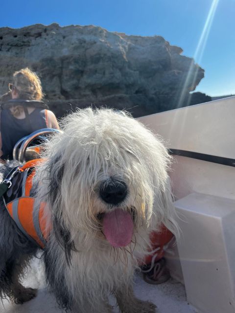 2 Hours Private Benagil Caves and Beaches Boat Tour - The Benefits of a Private Boat Experience