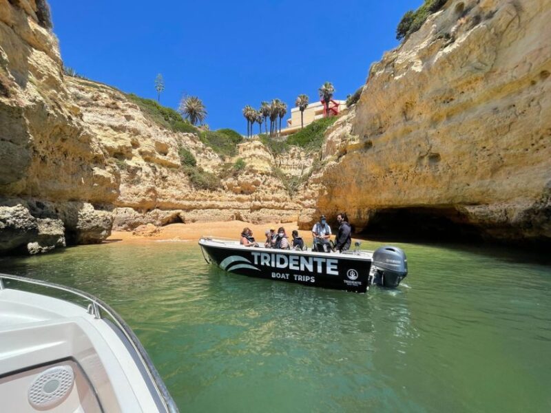 2 Hours Private Benagil Caves and Beaches Boat Tour - The Experience Provider: Tridente Boat Trips