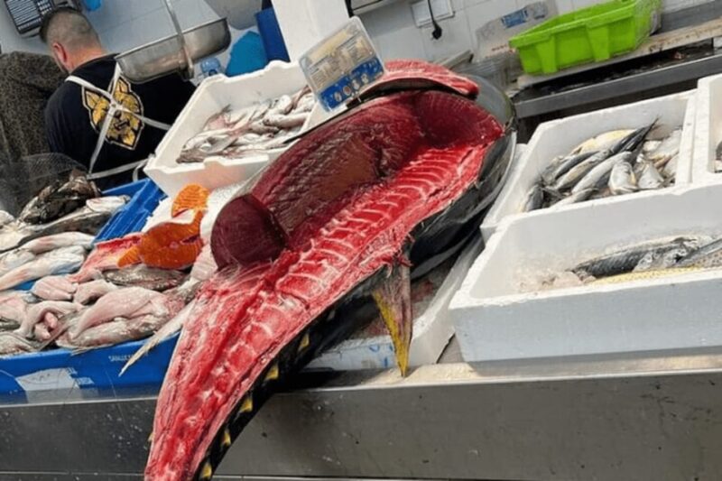 2 Hours Private Historical Tour in Cadiz - Key Points