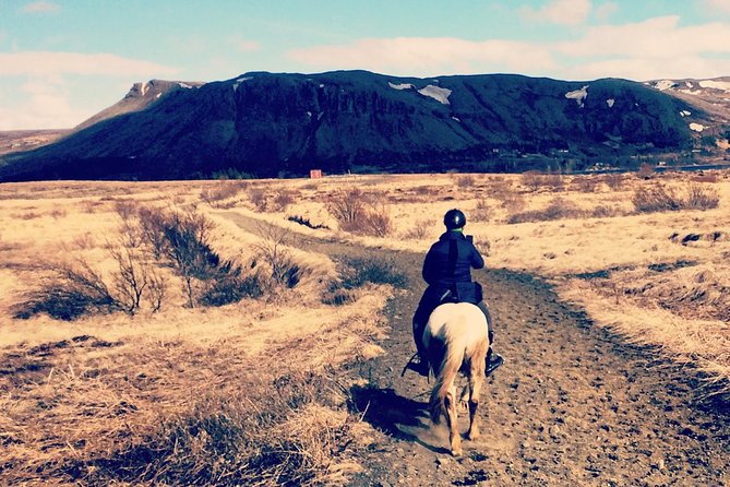 2 hours Private Horse Riding to Lake Hafravatn, Reykjavík - Mos - Explore Icelandic Horseback Riding Near Reykjavík at Lake Hafravatn