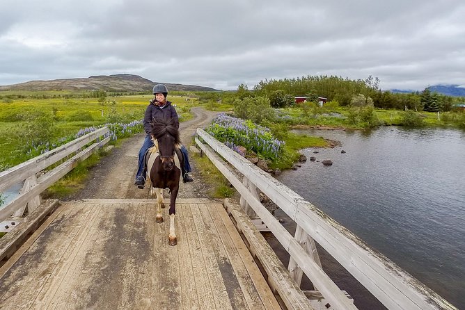 2 hours Private Horse Riding to Lake Hafravatn, Reykjavík - Mos - The Horses: Well-Trained and Affectionate Companions