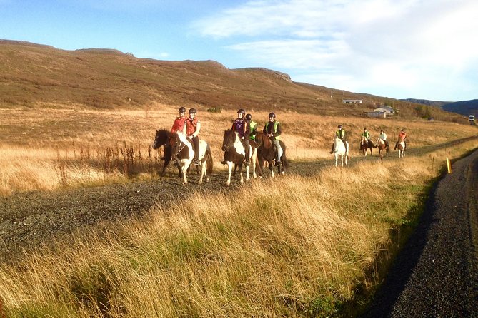 2 hours Private Horse Riding to Lake Hafravatn, Reykjavík - Mos - The Guide’s Role and Personalized Attention