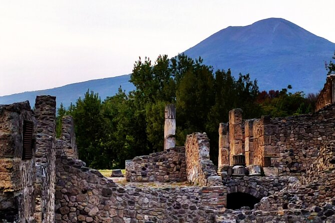 2 Hours Private Tour in Pompeii with Archaeologist - The Praedia di Giulia Felice: Large Private Residence