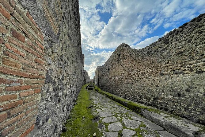 2 Hours Private Tour of Pompeii for Journey Through Time - Key Points