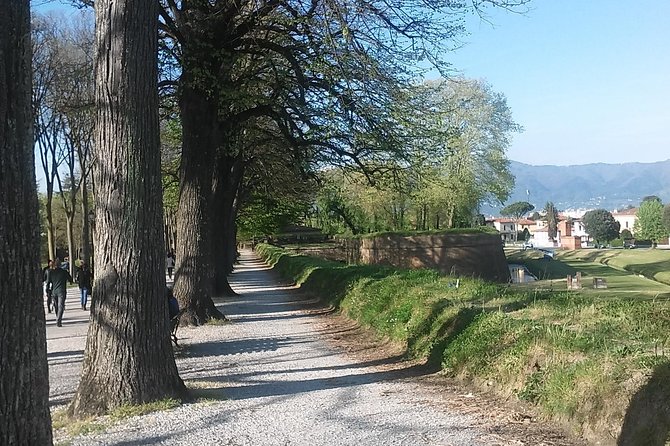 2-Hours Relax Walking Tour Through Lucca - Easy Logistics and Meeting Point Convenience