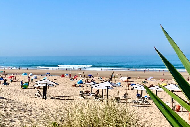 2 Hours Surf Rentals in Costa da Caparica - Flexible Scheduling for Your Convenience