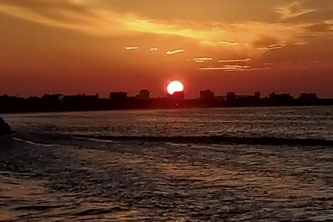 2 Hours Swim with the Dolphins in Panama City - Visiting Shell Island for a Beach Break