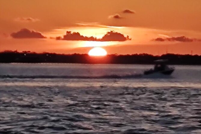 2 Hours Swim with the Dolphins in Panama City - Potential Limitations and Considerations