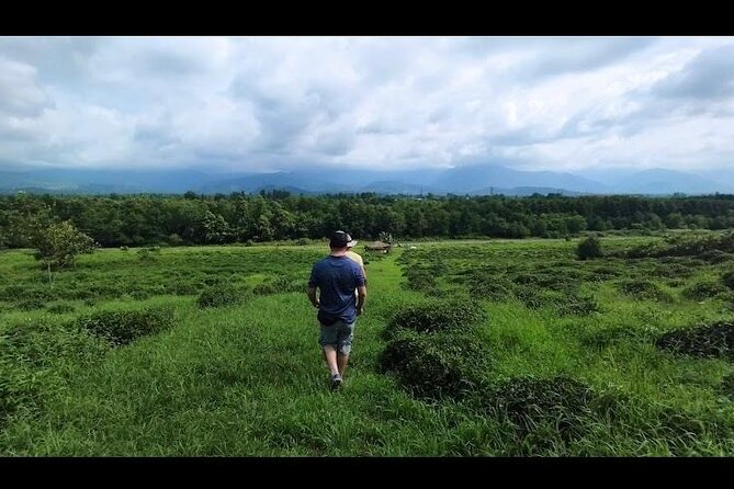 2 Hours Tea House and Tea Garden Trip in Ozurgeti Georgia - Key Points