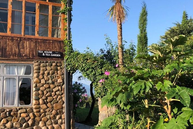 2 Hours Tea House and Tea Garden Trip in Ozurgeti Georgia - Why This Tour Stands Out Among Georgia’s Tea Experiences