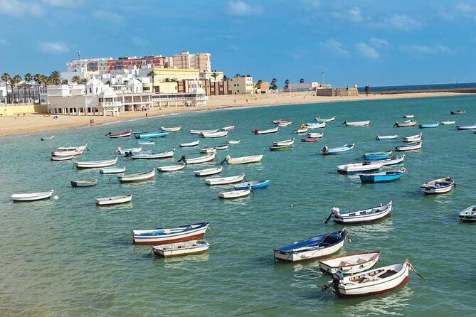 2 Hours Tour around Cádiz: History, anecdotes and curiosities - The Significance of La Pepa and Cádiz’s Independence