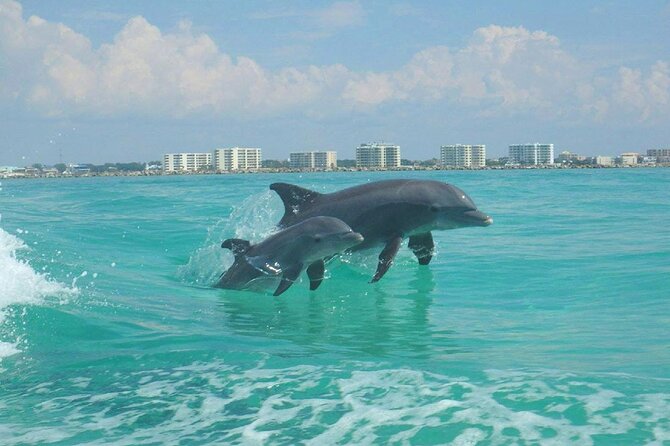 2-Stop Snorkeling and Dolphin Cruise from Destin - The Crew and Guide Experience