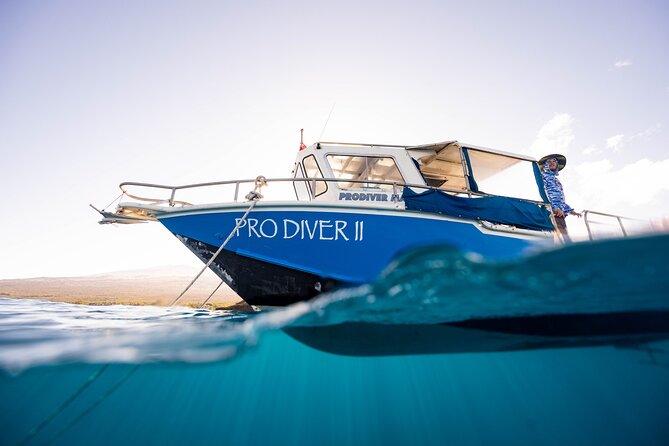 2-Tank Dive Featuring the Molokini Crater - The Meeting Point and Schedule in Maui