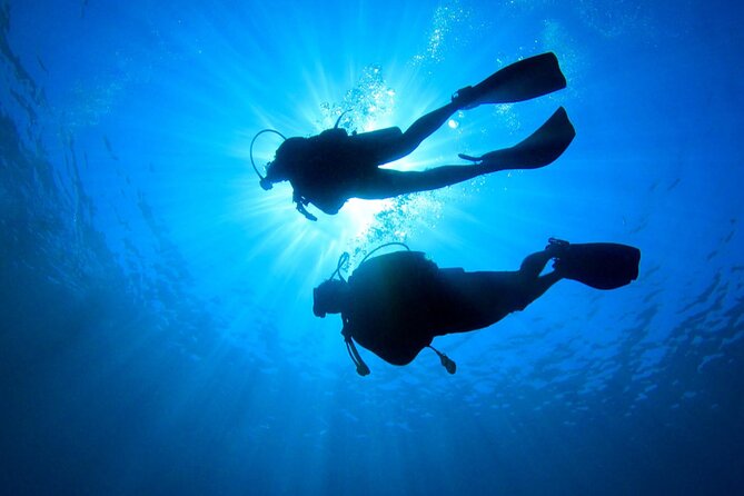 2 Tank Dive (for certified divers) - The Expertise of the Guides and Dive Masters