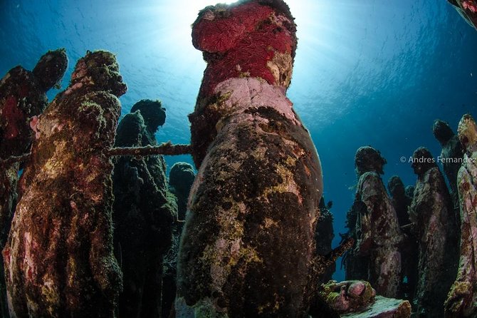 2 Tank Dives MUSA and Manchones reef (Certified divers) - Physical Fitness and Certification Requirements for a Comfortable Experience