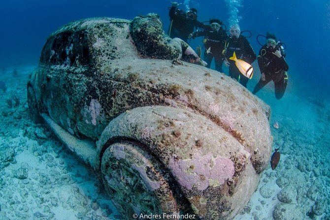 2 Tank Dives MUSA and Manchones reef (Certified divers) - Practical Details: Meeting, Timing, and Additional Costs