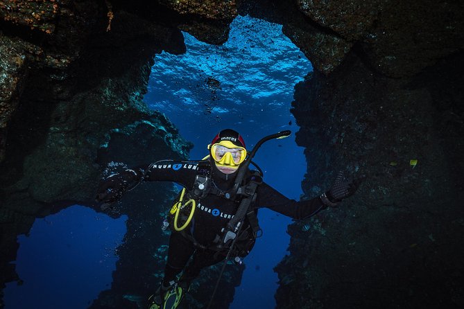 2 Tank Lanai Cathedral Scuba Dive Via Boat for Certified Divers - Personalized Attention with Small Groups