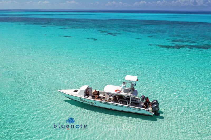 2 Tank Morning Cozumel Dives for Certified Divers - Expert Guides Personalize Each Dive to Your Skills and Interests