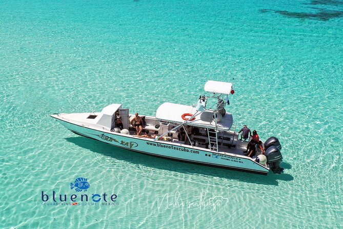 2 Tank Morning Dive: Scuba Diving in Cozumel - Key Points