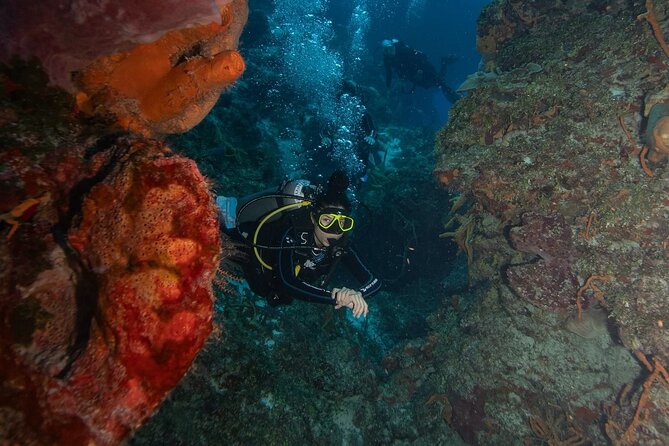 2 Tank Morning Dive: Scuba Diving in Cozumel - Perfect for Certified Divers Wanting the Best Reefs in Cozumel
