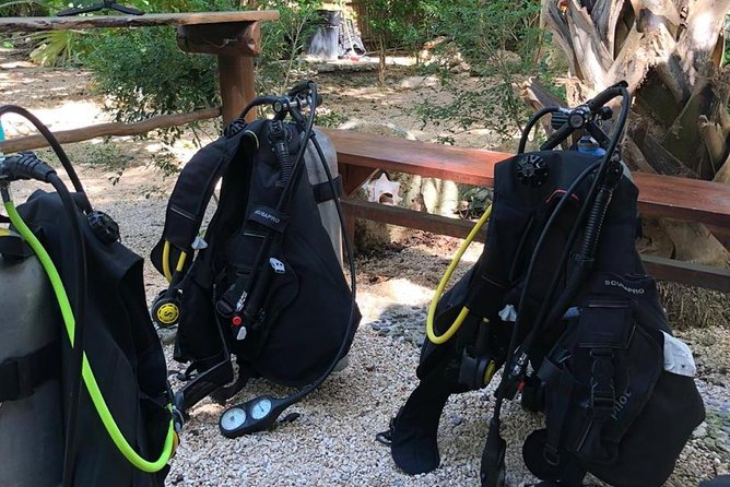 2 tanks Cenote Diving Adventure in Tulum for Certified Divers - Exploring the Depths of Dos Ojos Cenote