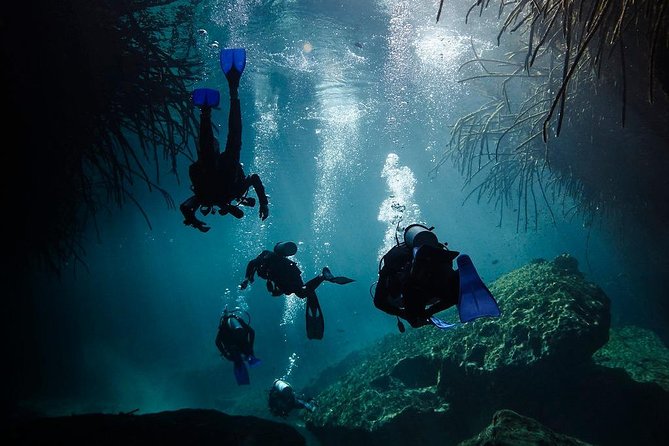 2 tanks Cenote Diving Adventure in Tulum for Certified Divers - Professional Guides and Equipment for a Safe Dive