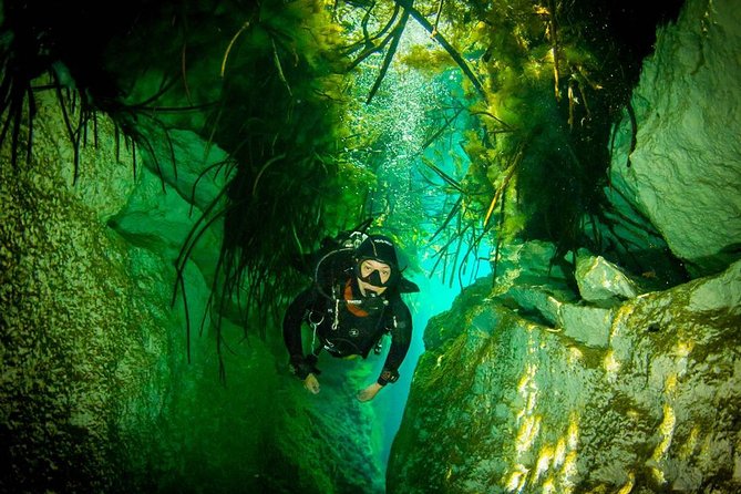 2 tanks Cenote Diving Adventure in Tulum for Certified Divers - Transportation and Meeting Details
