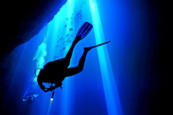 2 tanks Cenote Diving Adventure in Tulum for Certified Divers - What Makes This Cenote Diving Tour Stand Out