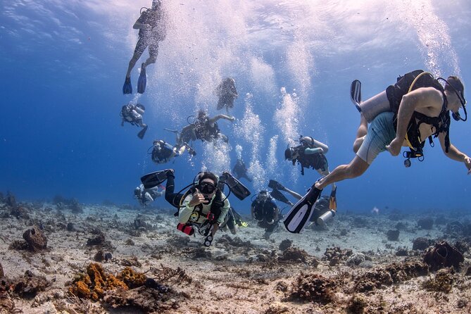 2 Tanks dives for Certified Divers in Cozumel - Key Points