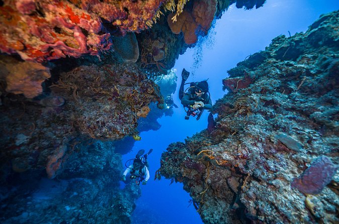 2 Tanks dives for Certified Divers in Cozumel - Practical Details: Timing, Equipment, and Cancellation Policy