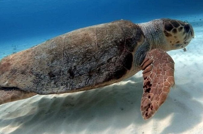 2 tanks for certified divers - Safety and Environmental Considerations