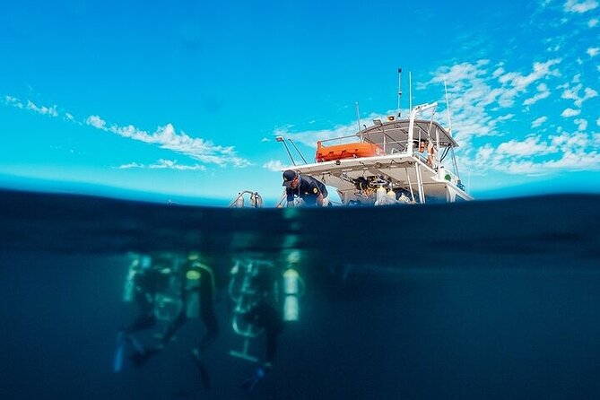2 Tanks Scuba Diving in La Paz - La Paz’s 2 Tanks Dive Tour Starts at Marina Palmira