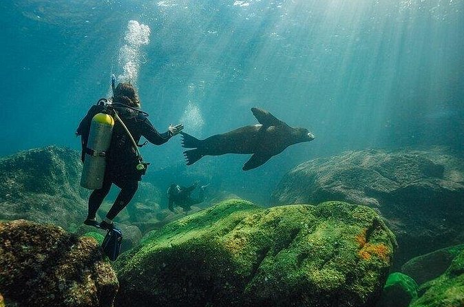 2 Tanks Scuba Diving in La Paz - Flexible Cancellation Policy and Weather Considerations