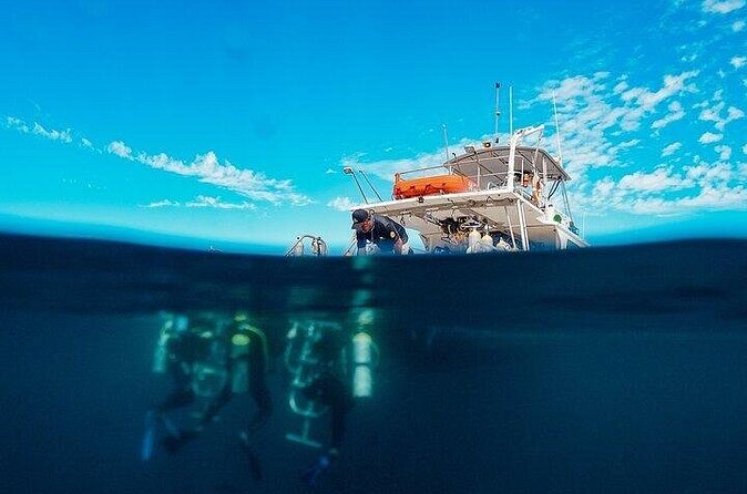 2 Tanks Scuba Diving in La Paz - Comparing the Value with Other Local Experiences