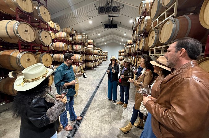 2 to 5 Guests Fredericksburg Private Mercedes SUV Wine Tour - Customization and Flexibility of the Tour Itinerary