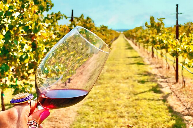 2 to 5 Guests Fredericksburg Private Mercedes SUV Wine Tour - Fredericksburgs Leading Wineries: Becker Vineyards