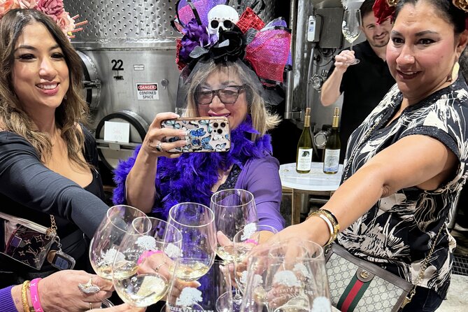 2 to 5 Guests Fredericksburg Private Mercedes SUV Wine Tour - Meierstone Vineyards: Family-Owned and Environmentally Conscious