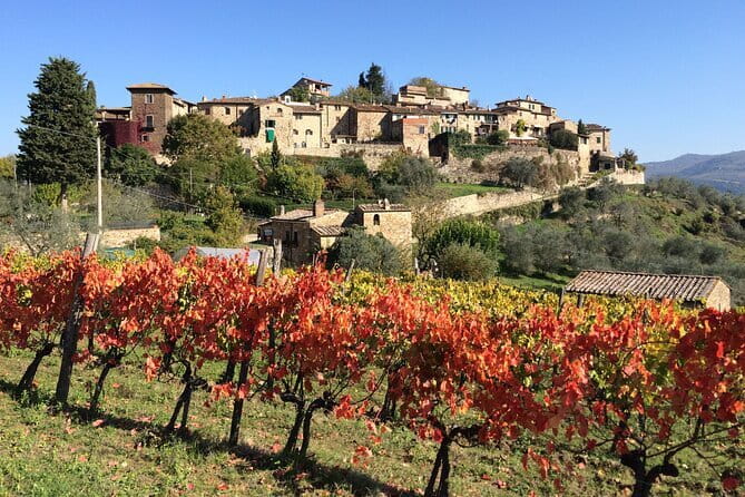 2 wineries Chianti Wine Tasting & Vineyards Walk Private Tour - Scenic Drive into the Chianti Region with a Private Guide