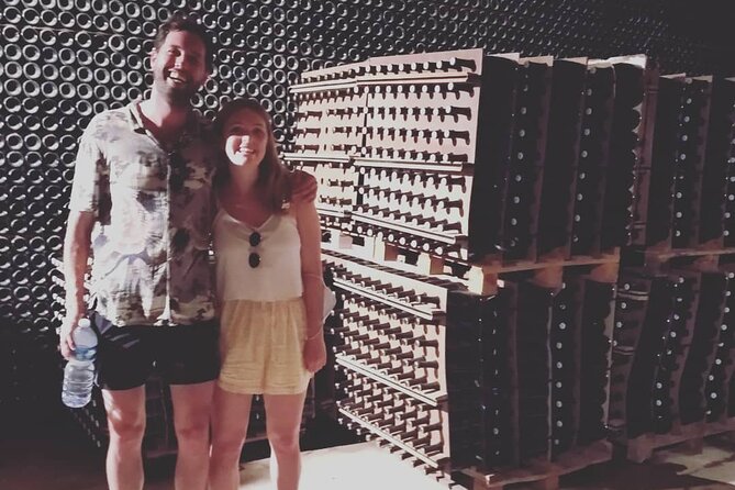 2 Wineries Small Group Tour with Hotel Pick-up from Sitges - Tasting Experience: Wines, Cava, and Snacks