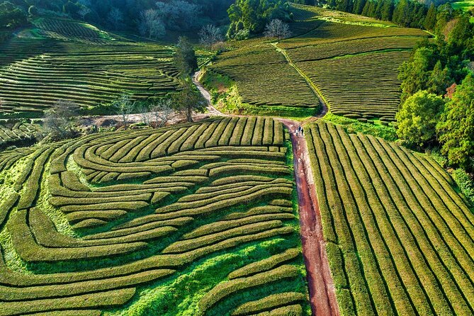2 x Day Tour pack with lunch included (Furnas + Sete Cidades + Fogo + Nordeste) - Exploring the Active Volcano at Lagoa das Furnas