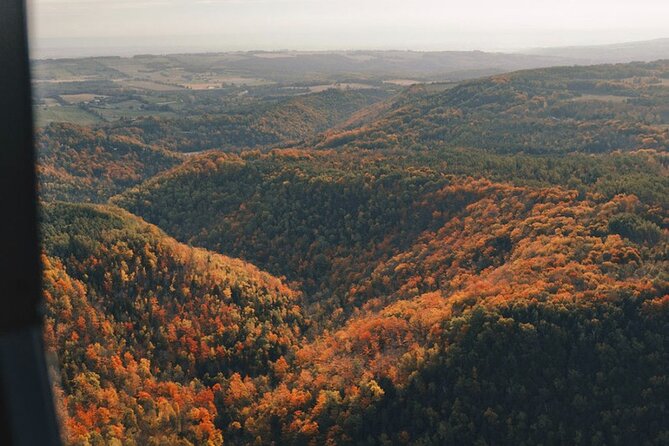 20 Minute Scenic Helicopter Private Tour - Key Points