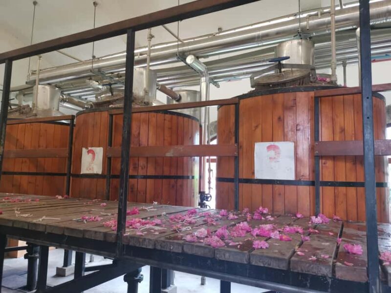 2026 Kazanlak Rose Festival Group Tour - Discovering Bulgaria’s Rose Capital in Kazanlak