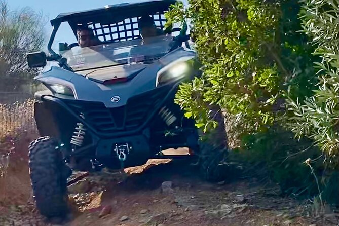 2:30 Hours Tour - The Guides and Their Role in the Tour