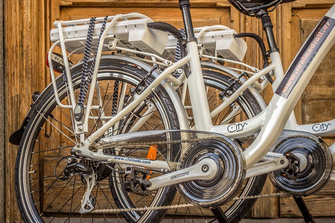 24-Hours Electric Bike Rental - Suitability for Different Visitors